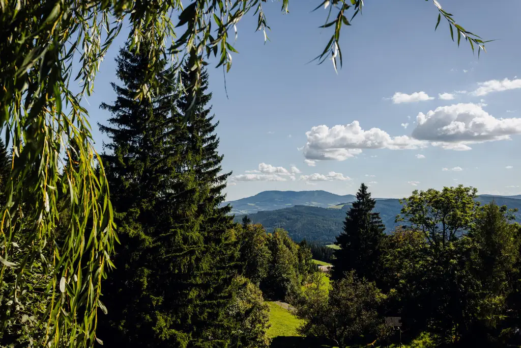 8252 Mönichwald: Familienfreundliches Wohnhaus mit 12 Zimmern und Designerküche mit traumhaftem Berg-Ausblick im Ski- und Wandergebiet Hochwechsellifte sowie interessanter touristischen Vermietungsoption