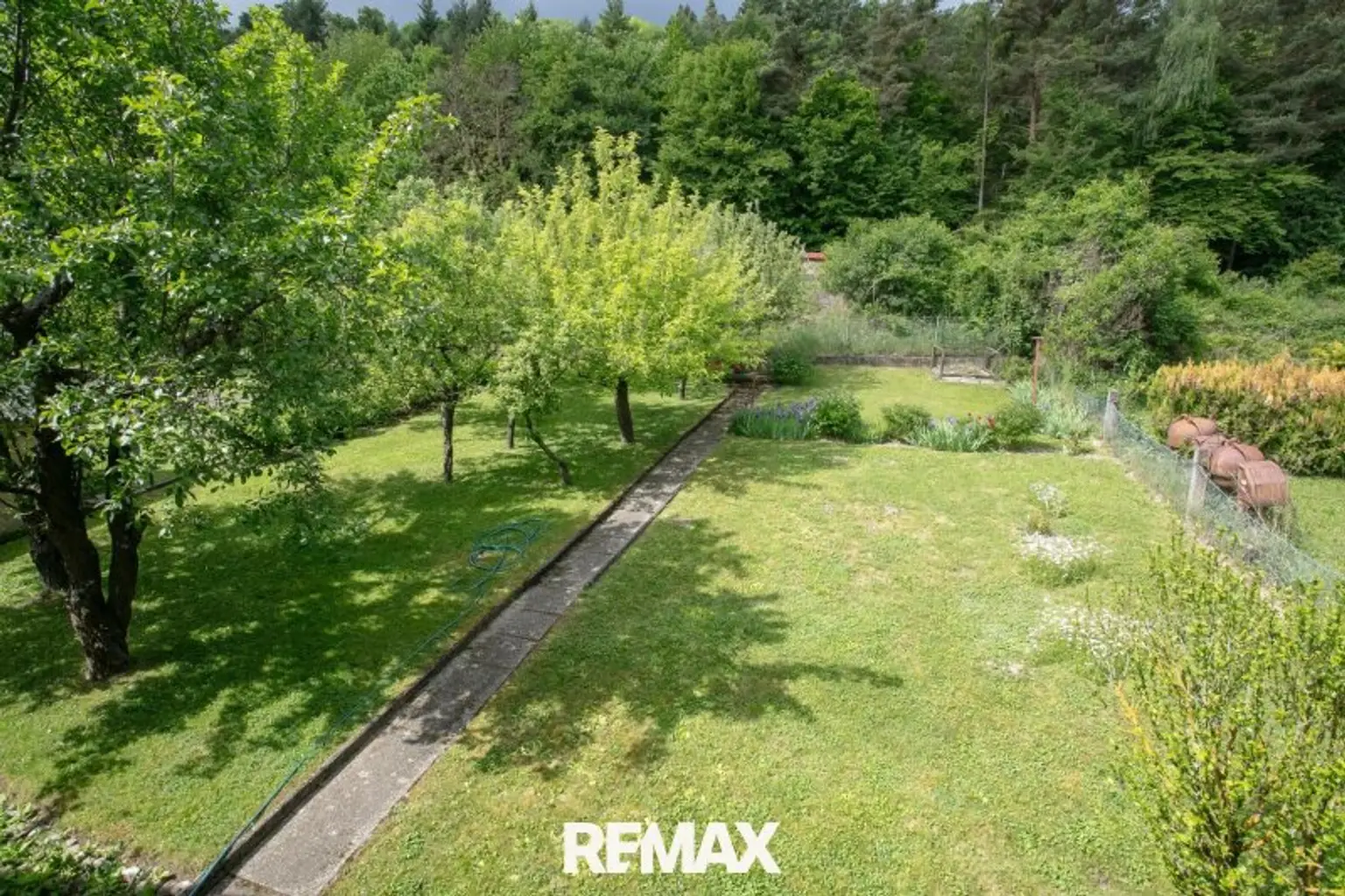 Blick in den Garten