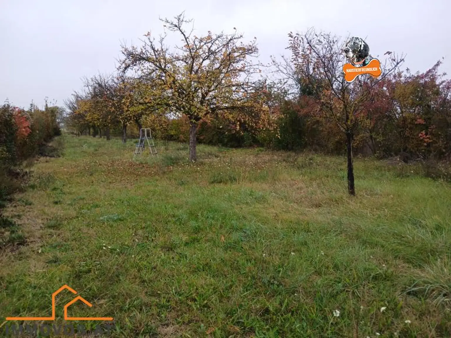 TOR  ZUM GLÜCK - RIESEN GRUNDSTÜCK MIT GEBÄUDE UND VIELEN MÖGLICHKEITEN