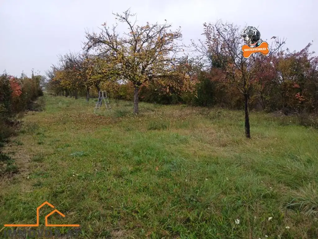 TOR  ZUM GLÜCK - RIESEN GRUNDSTÜCK MIT GEBÄUDE UND VIELEN MÖGLICHKEITEN