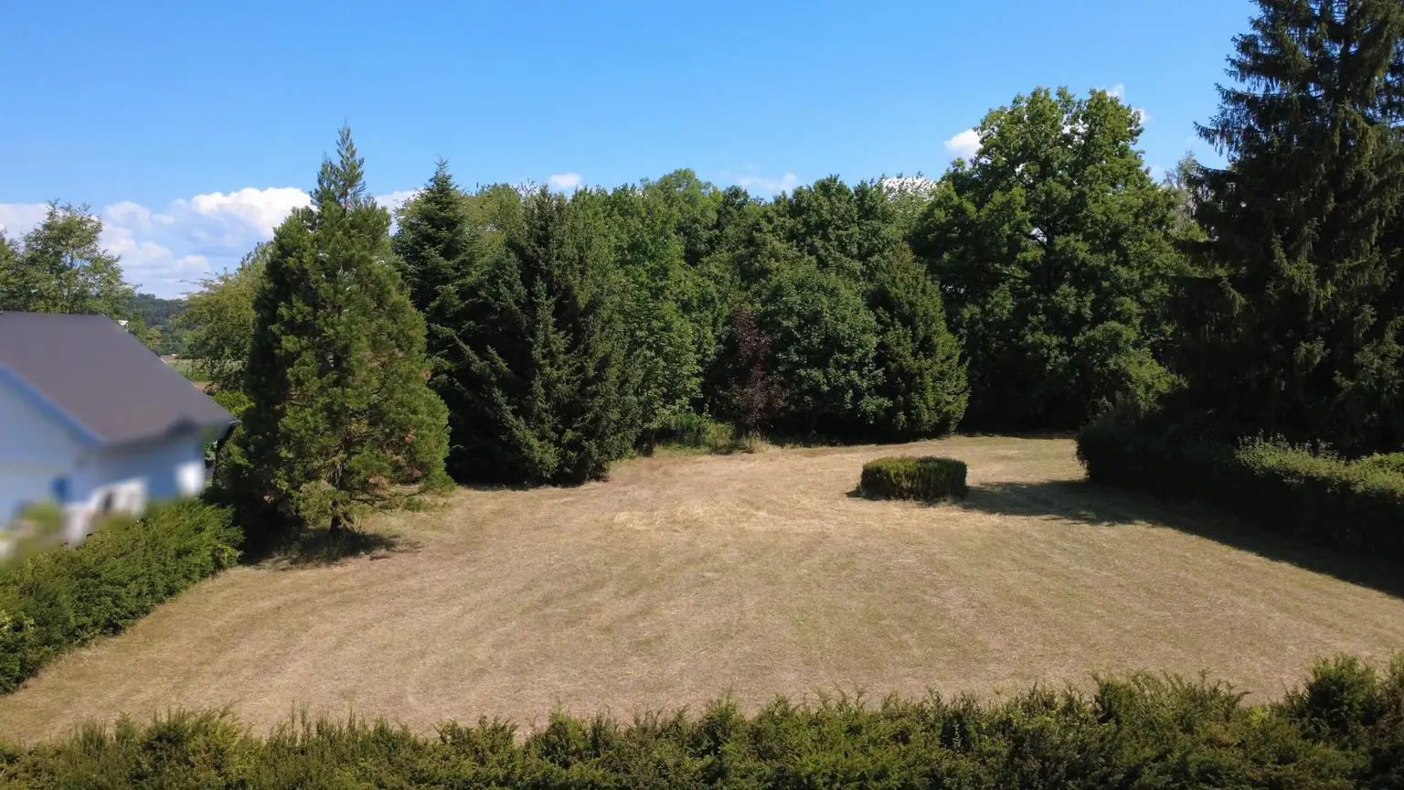image00031