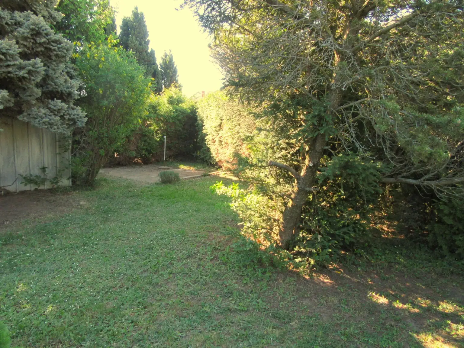 18 Garten 2
