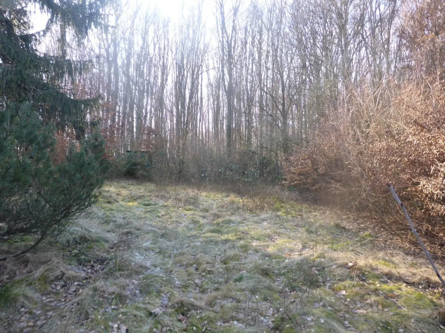 04 Grundstück in Mauerbach