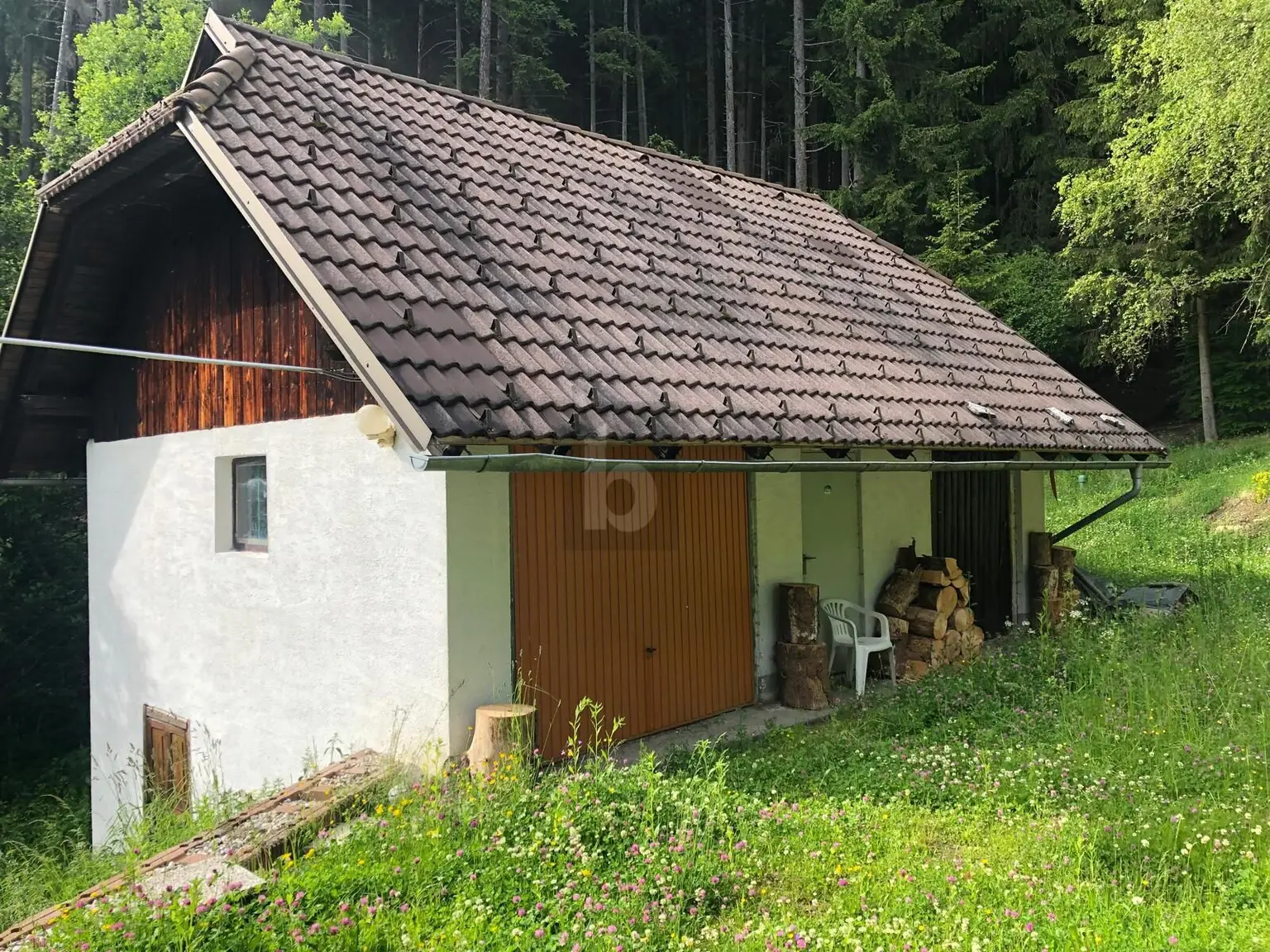 RUHE AM WALDRAND ÜBER DER NEBELGRENZE
