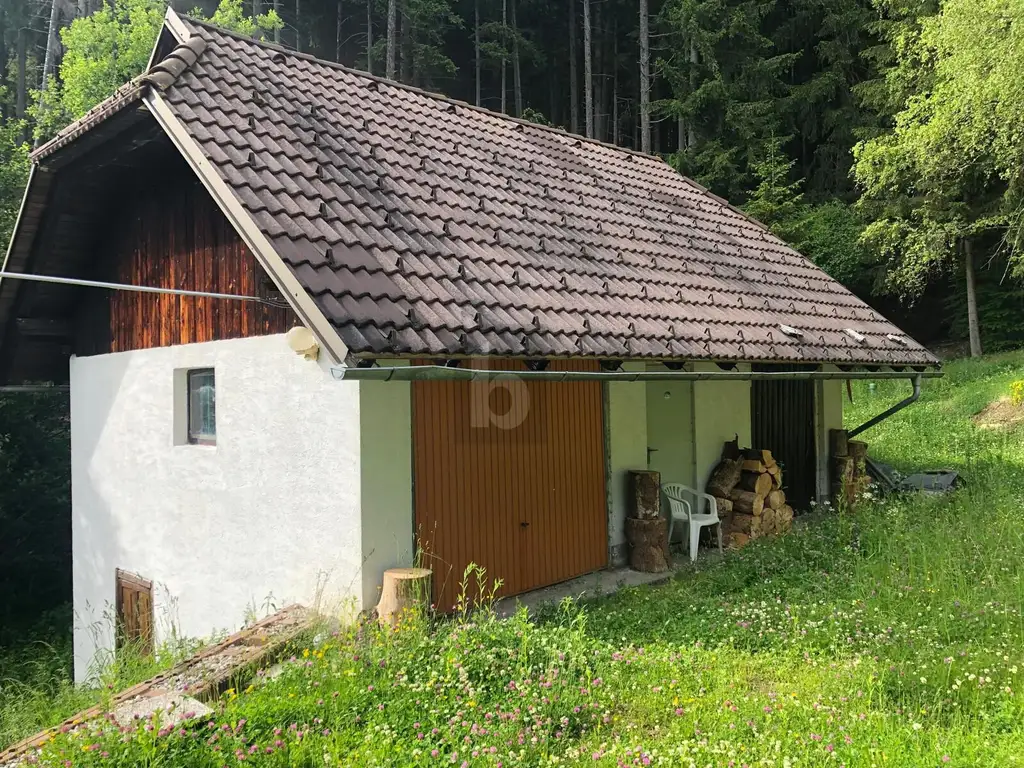 RUHE AM WALDRAND ÜBER DER NEBELGRENZE