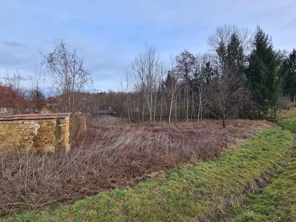Grundstück mit Altbestand in der Südoststeiermark