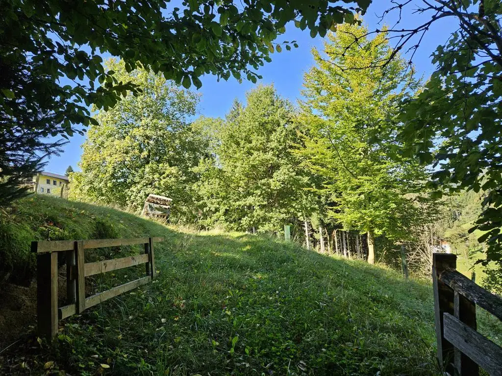 Ein Juwel des 18. Jahrhunderts – Historisches Anwesen  mit modernem Wohntraum und idyllischem Grundstück