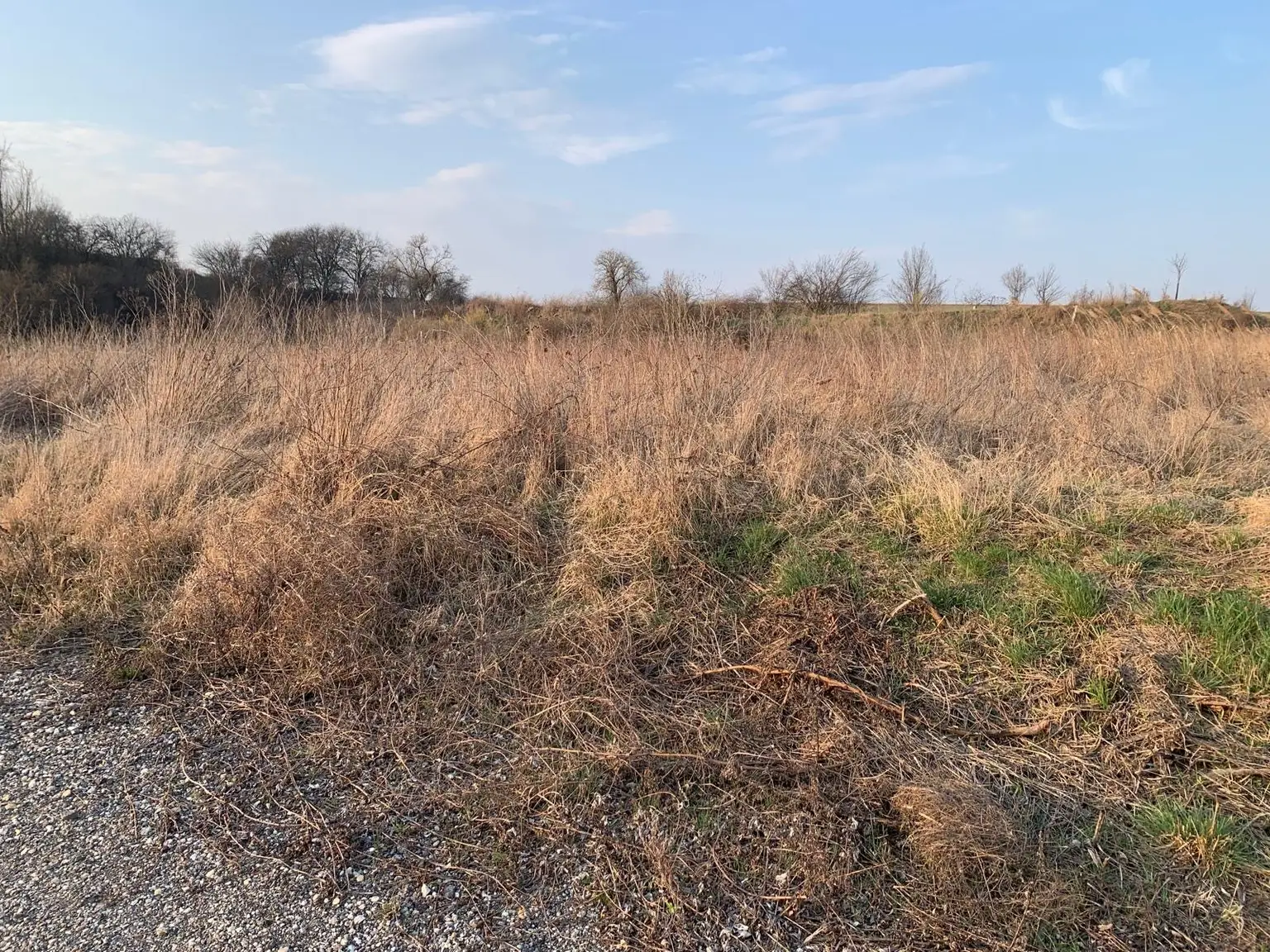 INDUSTRIEGRUNDSTÜCK - 40 Minuten vor Wien