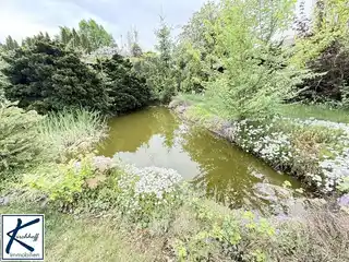 Gartenteich
