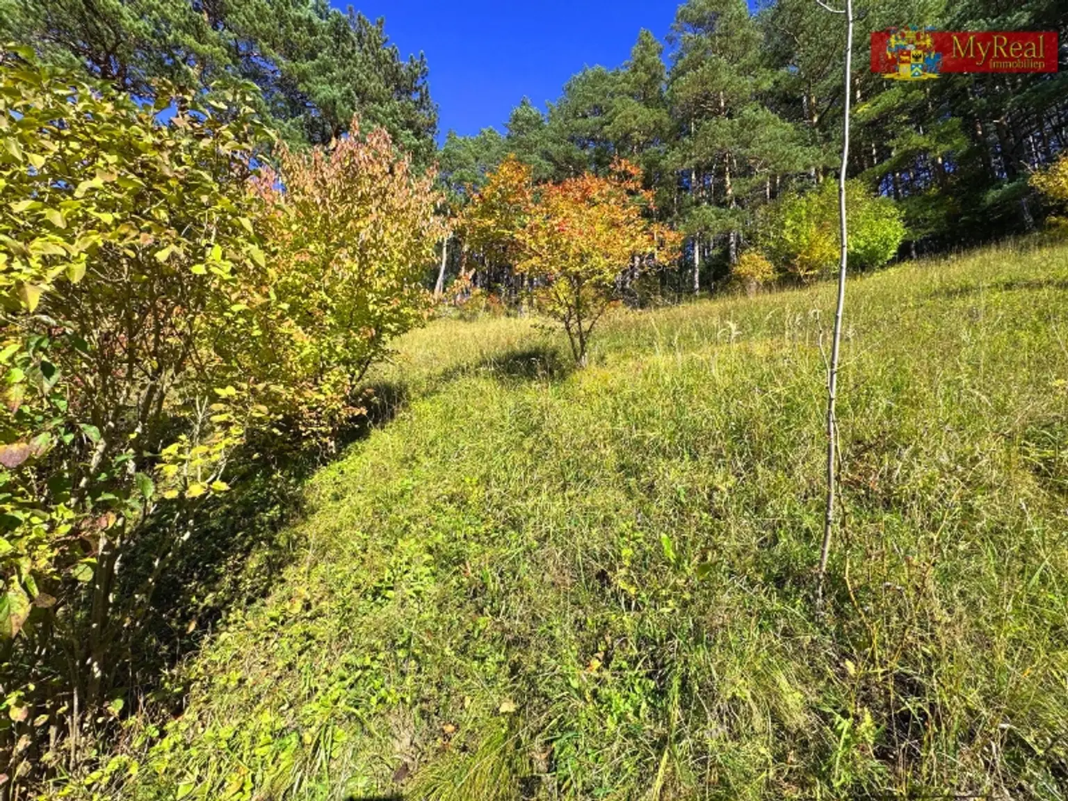 Exklusive Liegenschaft mit Top-Ausstattung