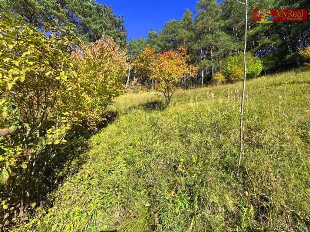 Exklusive Liegenschaft mit Top-Ausstattung