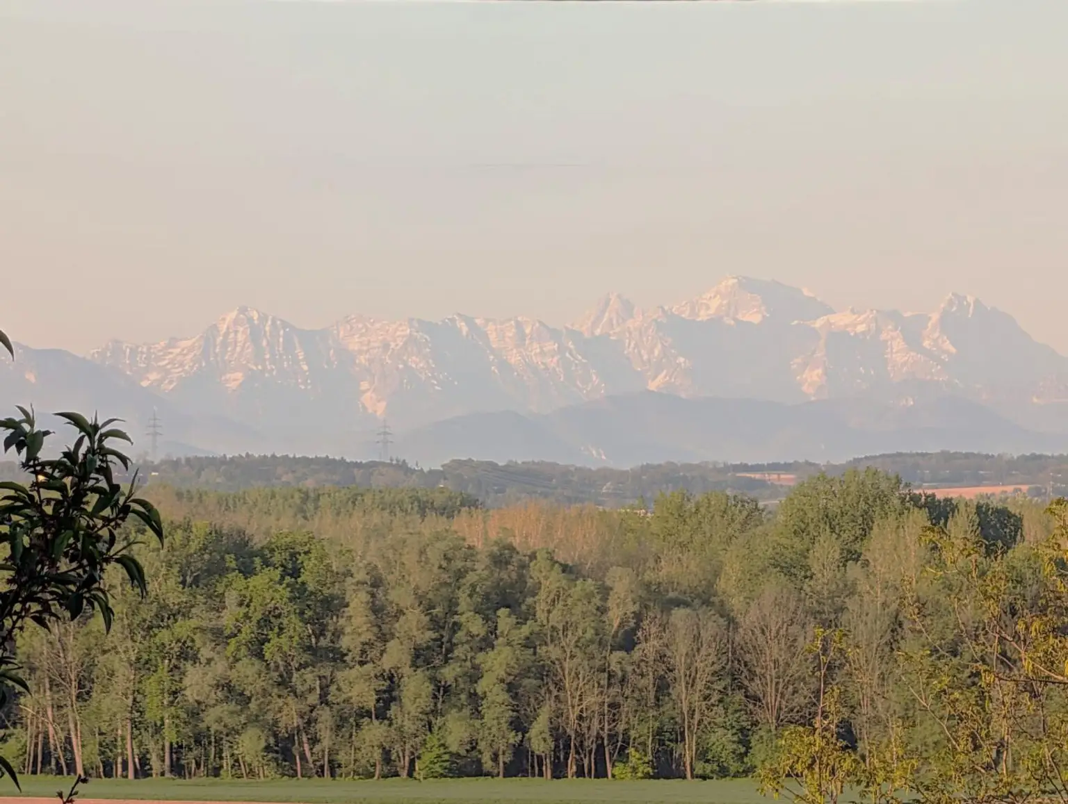 Fernblick