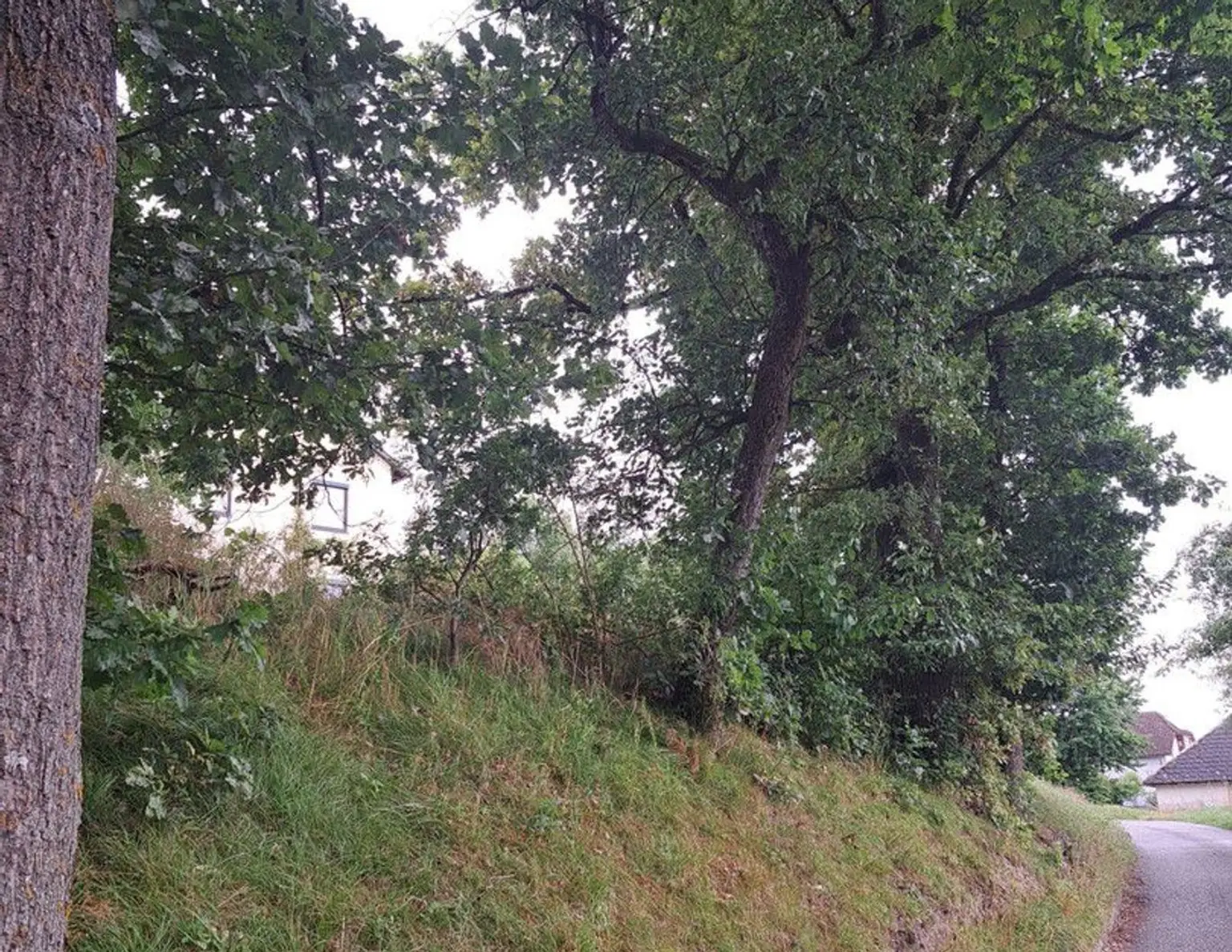 Wohnen am Land aber in Stadtnähe