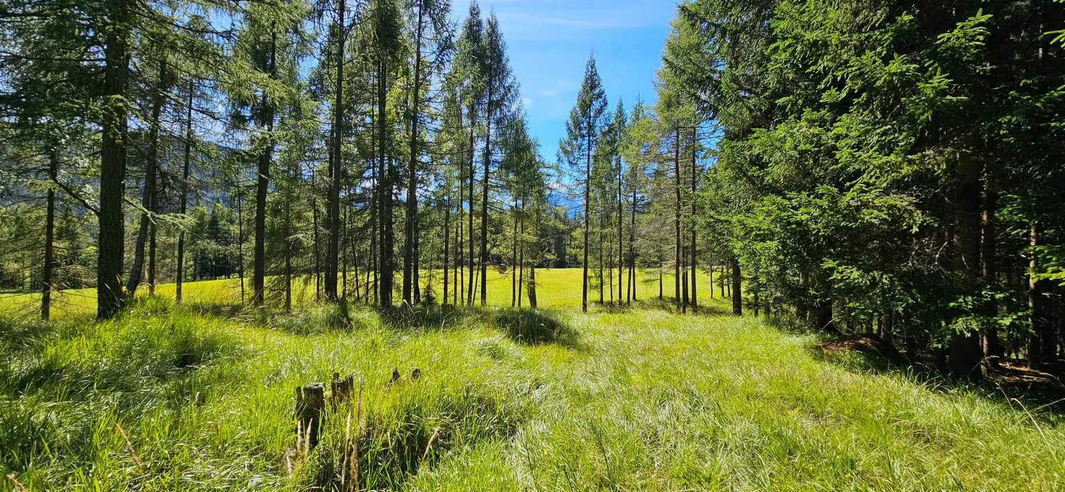 Naturnah investieren: Landwirtschafts- und Waldfläche!