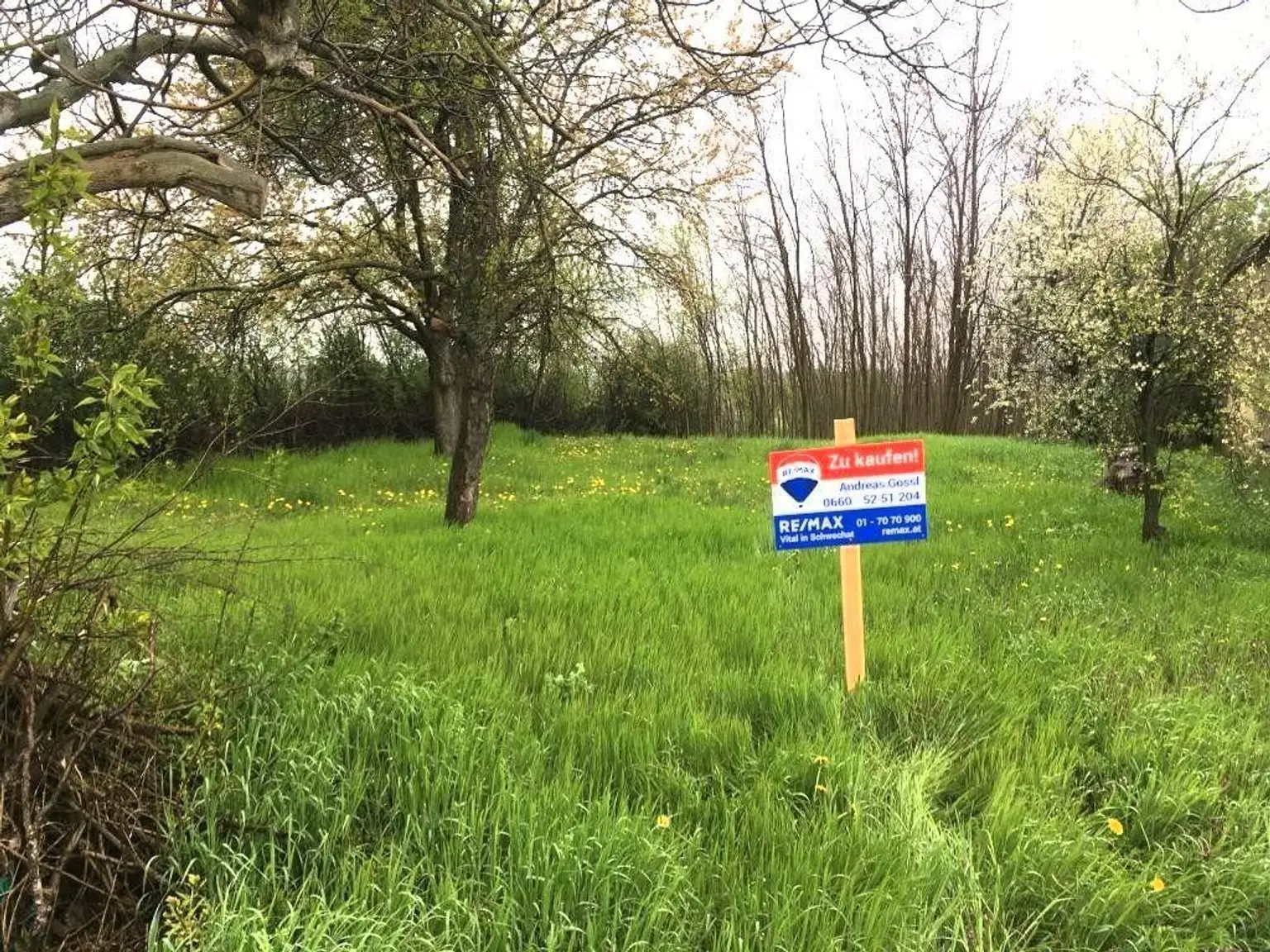 Grundstück Vaszar mit Tafel