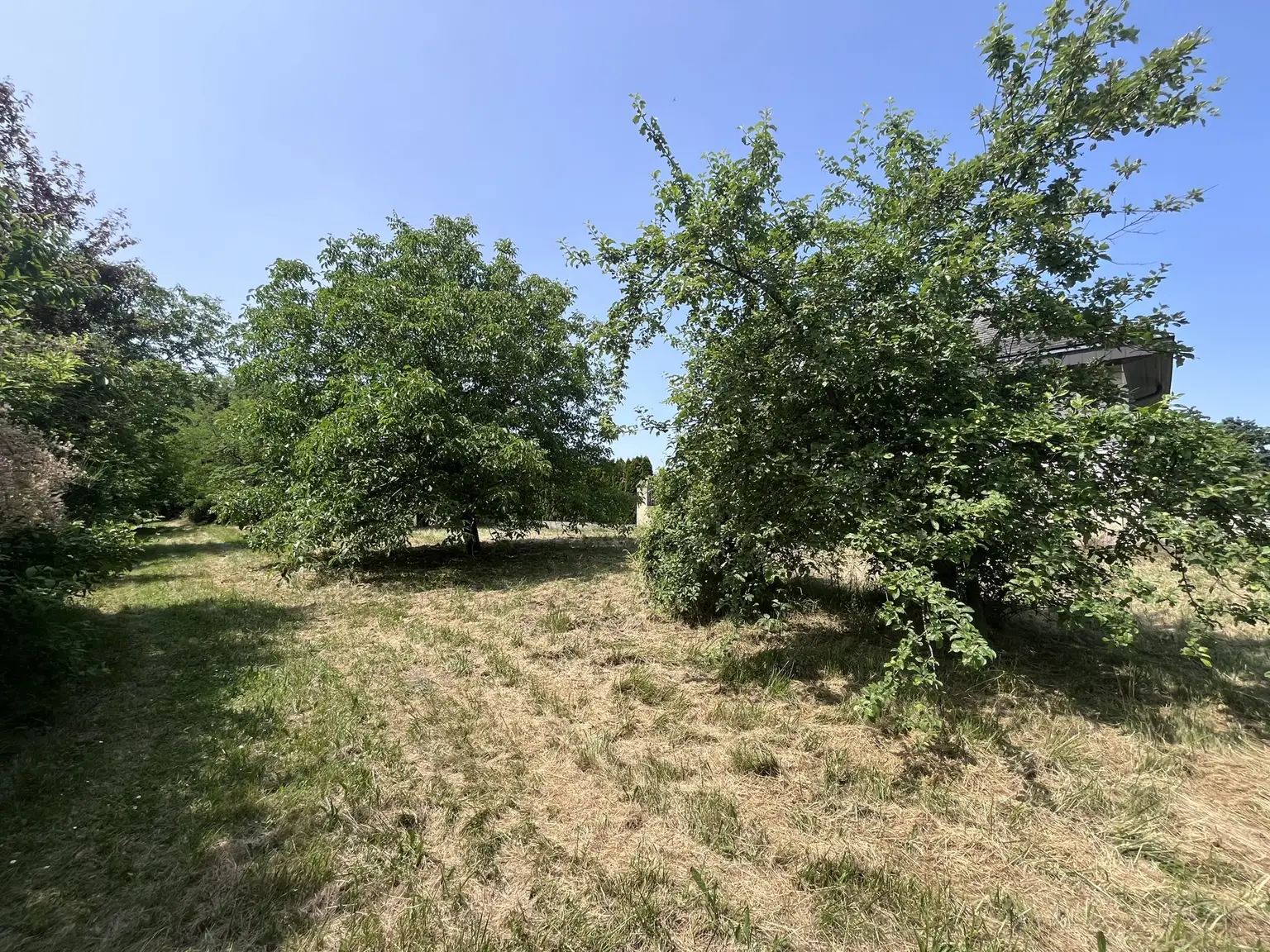 Grundstück mit Altbestand