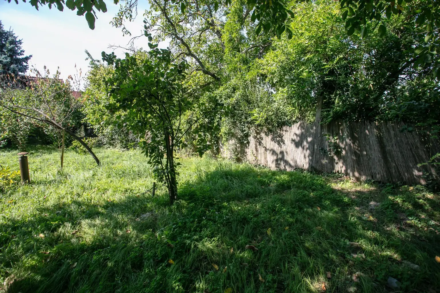 Garten 3