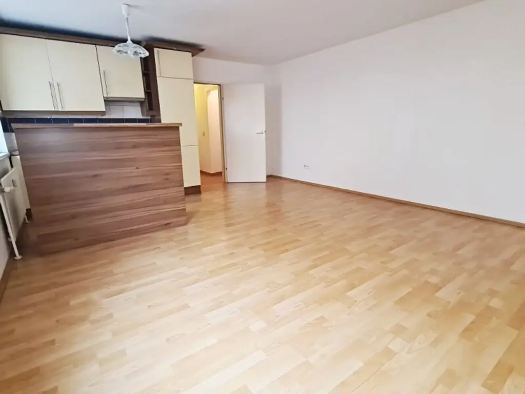 NEILREICHGASSE, sonnige 40 m2 Neubau, Einzelwohnraum, Komplettküche, Duschbad, Parketten, 1. Liftstock