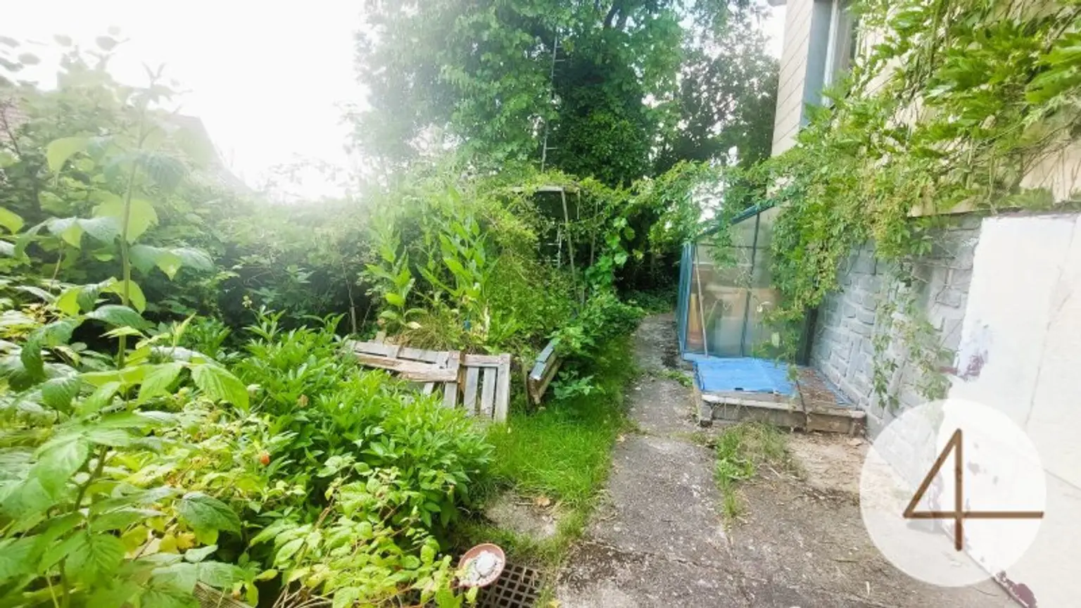 Natur rund ums Haus!