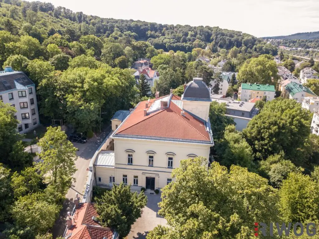 WIENTALBLICK | Lichtdurchflutete Wohnung in der historischen Villa Seutter mit 4,4m Raumhöhe & Blick auf denkmalgeschützte Linde | sanierungsbedürftig | + Garten optional