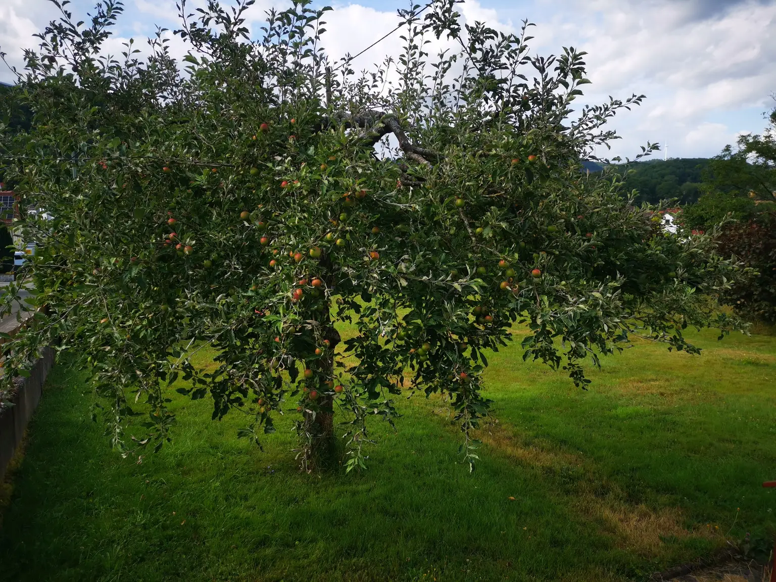 Baugrundstück mit idealem Zuschnitt...! 
So könnte IHR Haus HIER aussehen...!