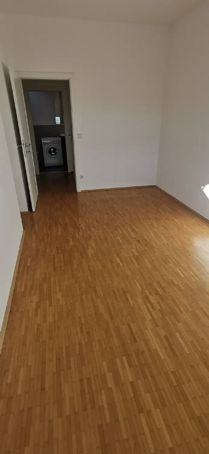 Zimmer V