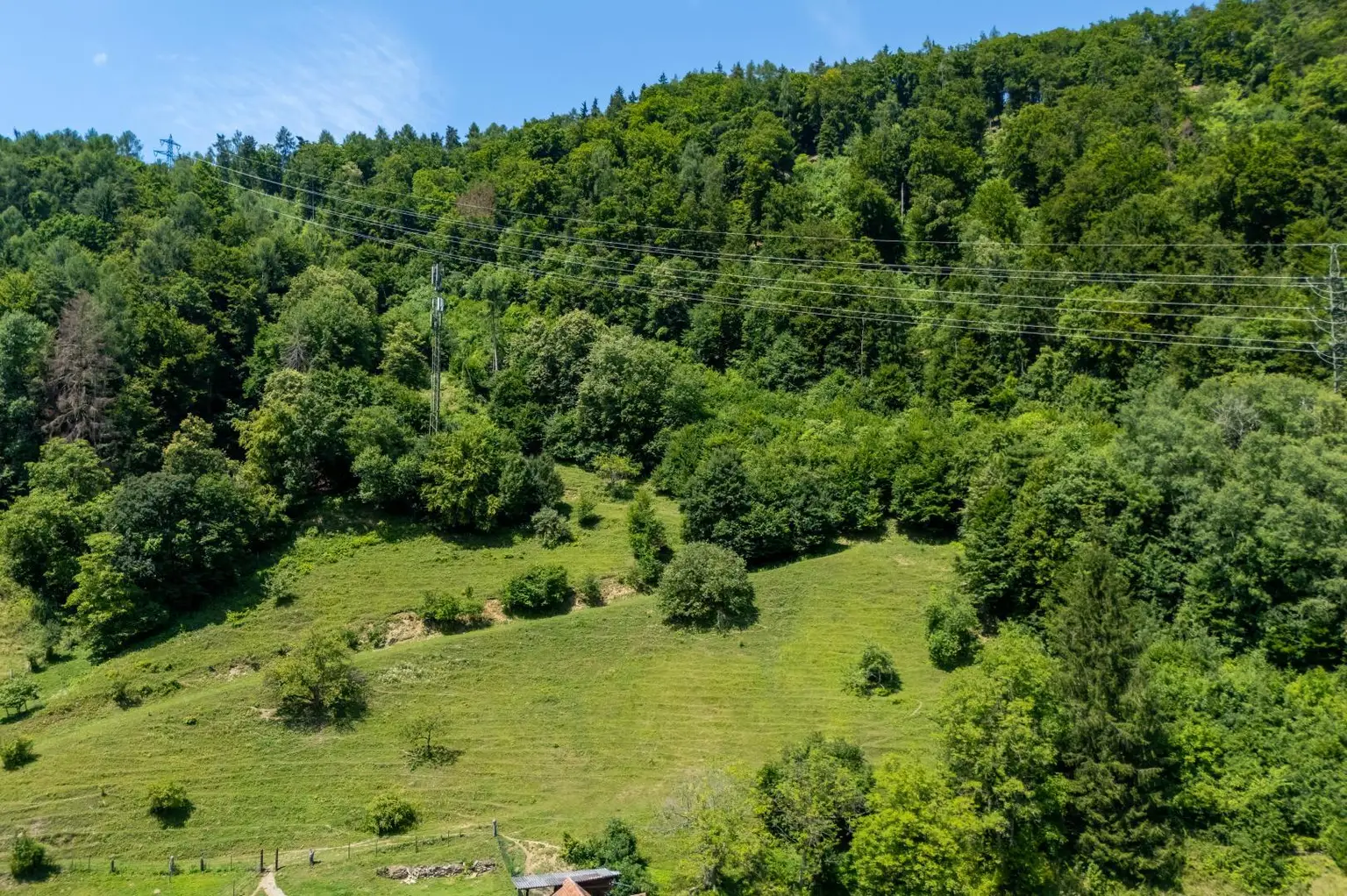 Waldfläche