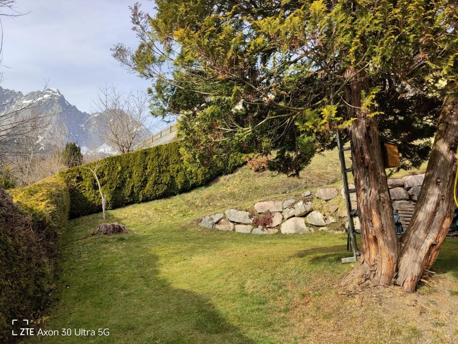Teil des Garten