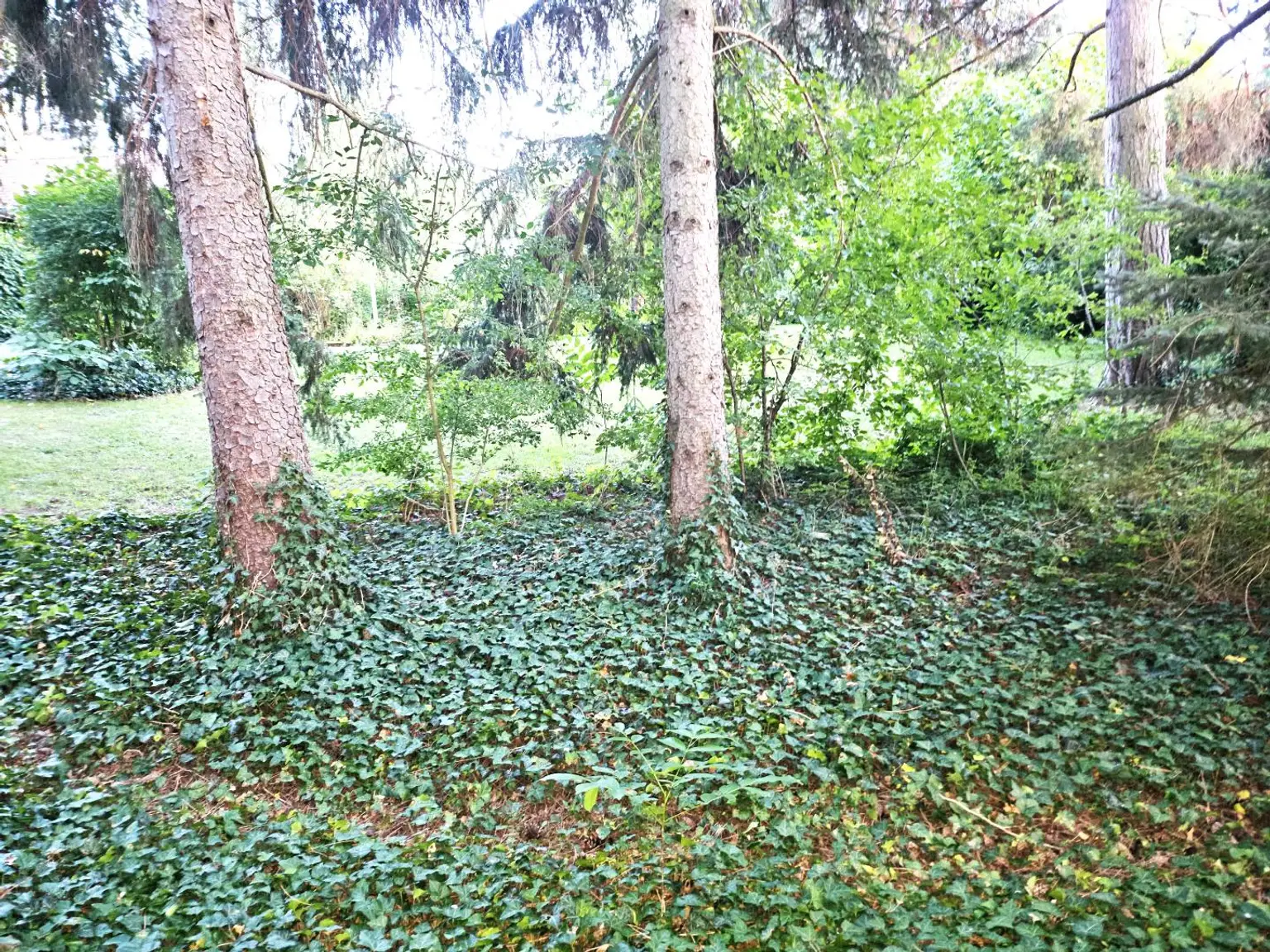 Baugrundstück 20mx30m!  WOHLFÜHL- Grundstück! RUHELAGE !
