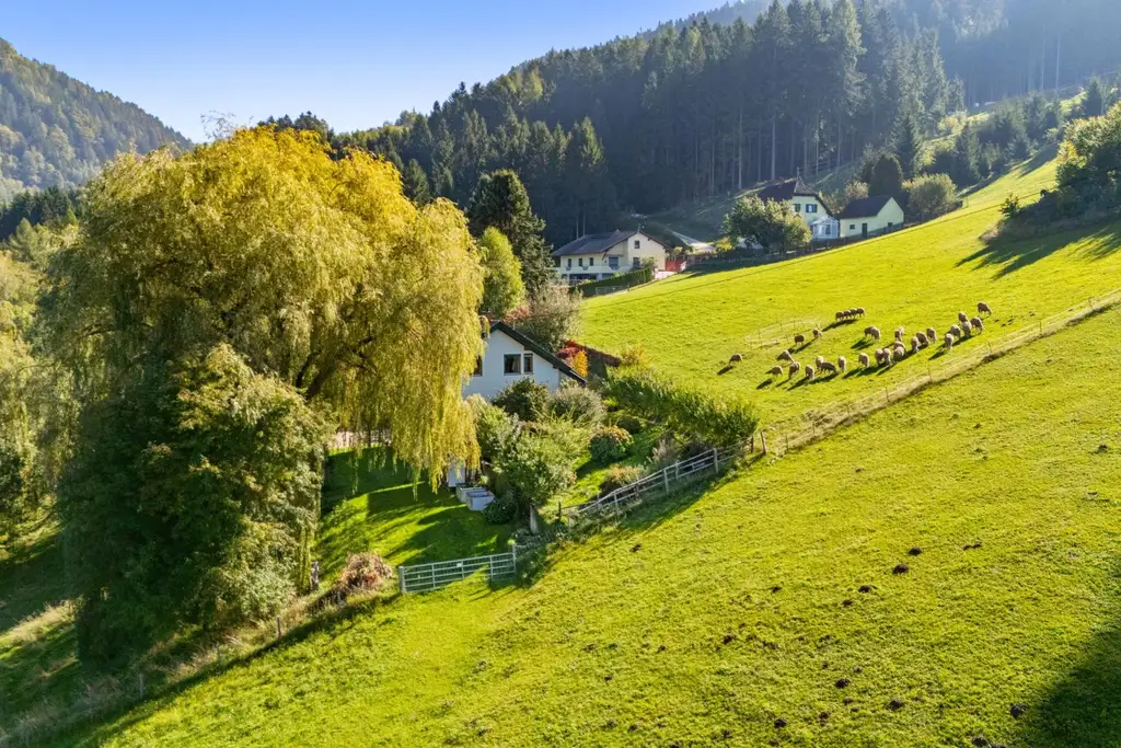 Gemütliches Einfamilienhaus in herrlicher, ruhiger Aussichtslage