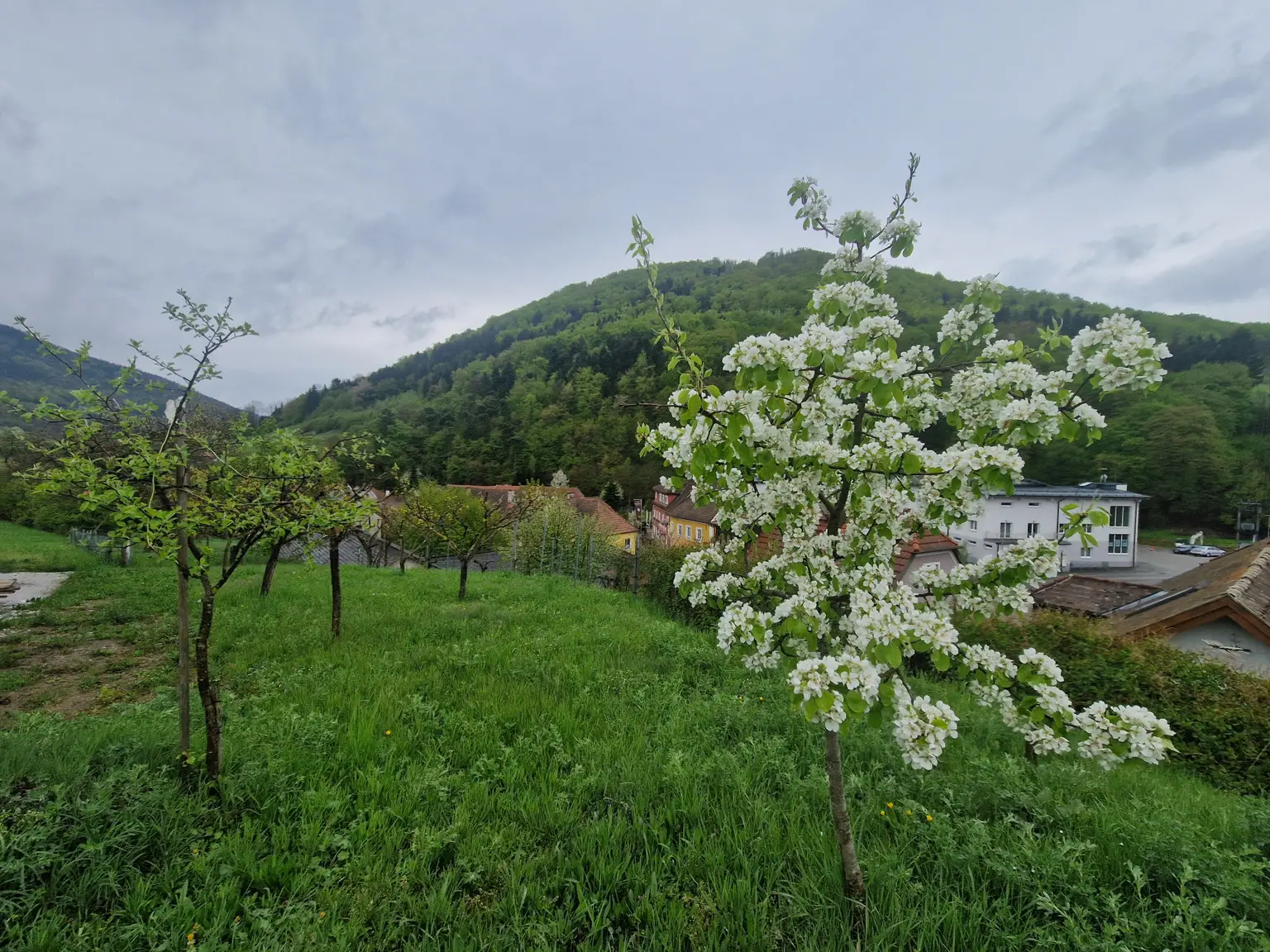 Ansicht5