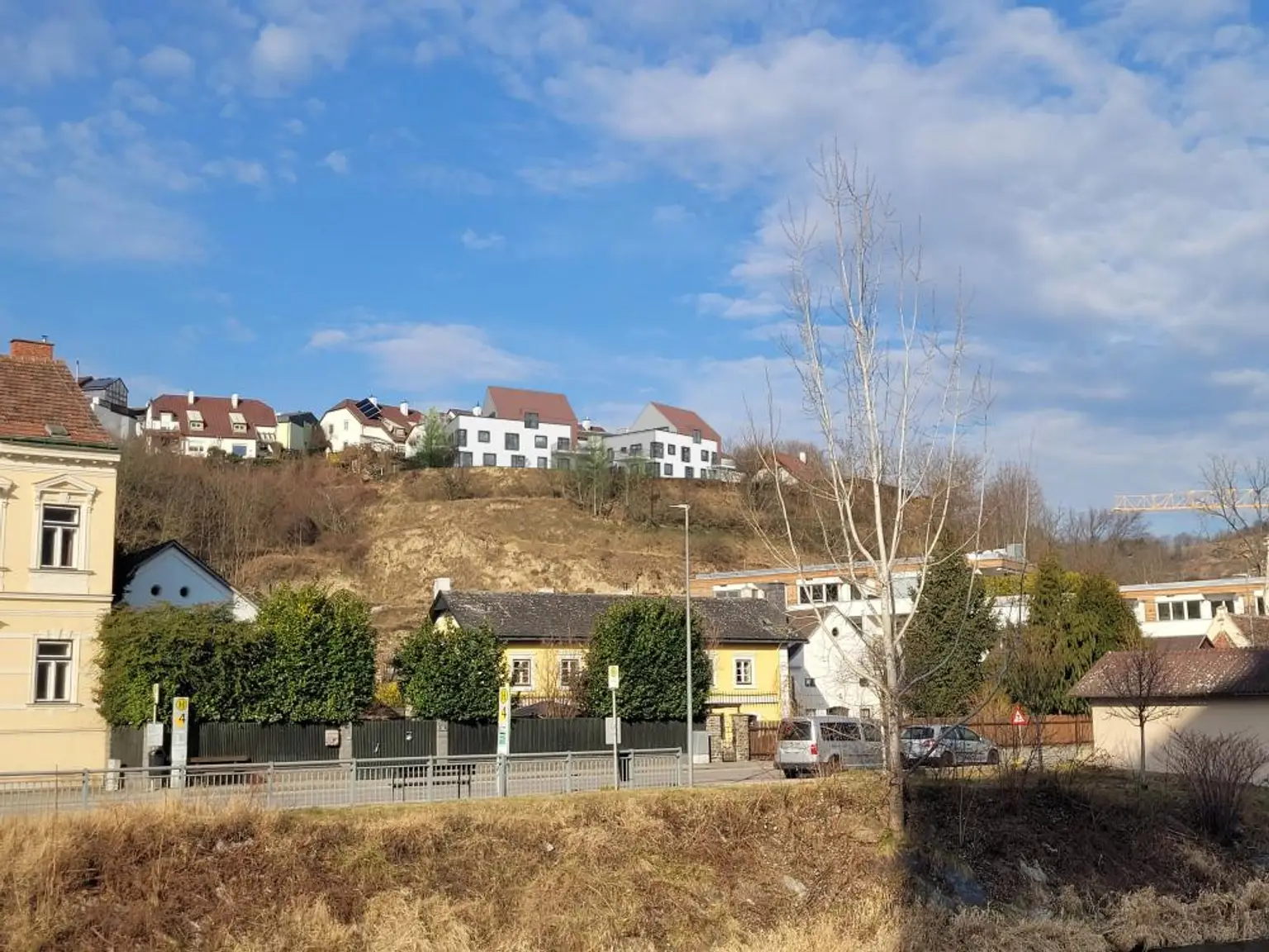 Anischt