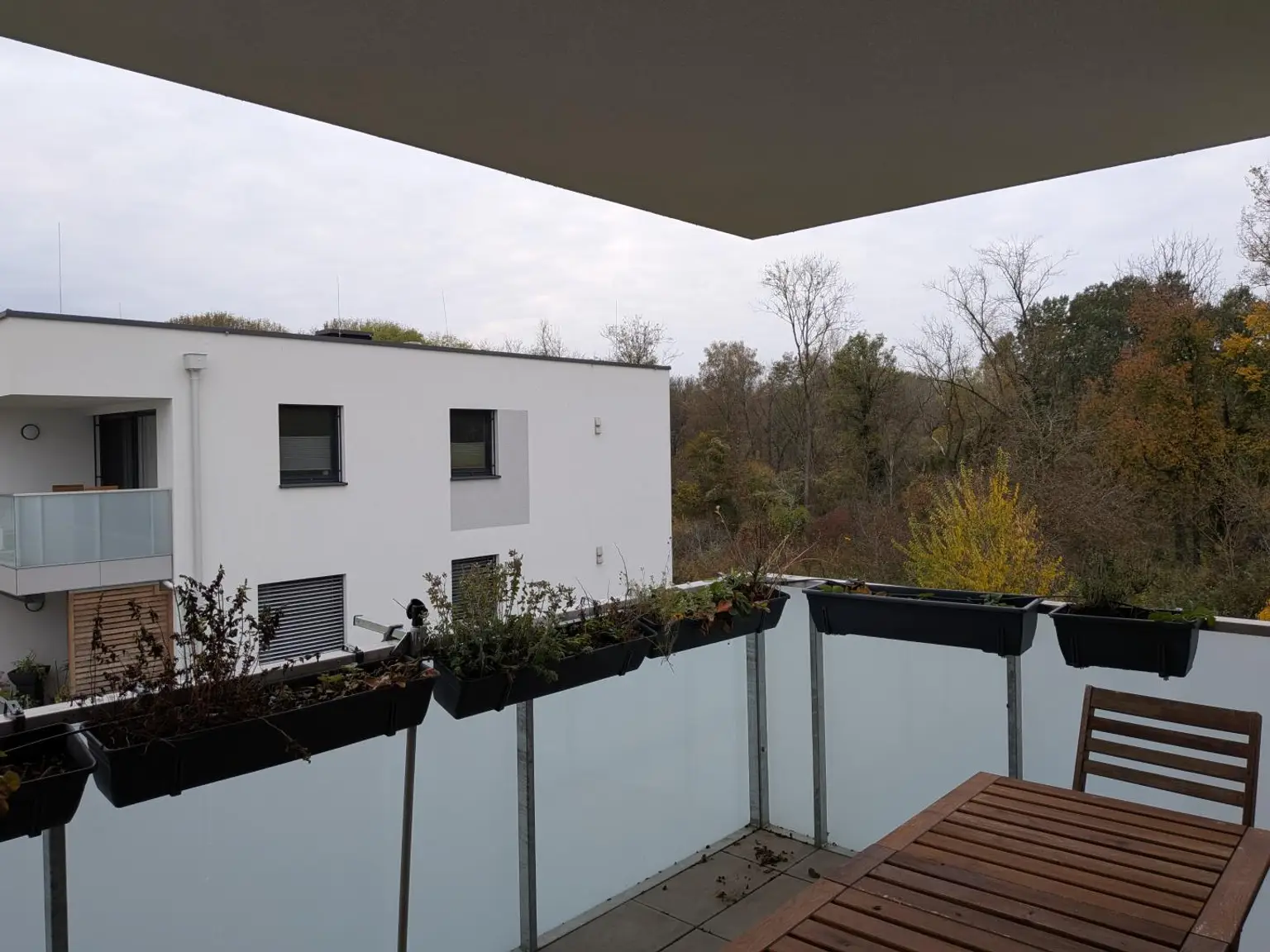 4-Zimmer-Wohnung mit Loggia und Blick ins Grüne