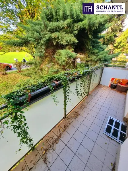 Absolute Grün- und Ruhelage! Gebraucht. Gepflegt. Geliebt! Perfekt aufgeteilte 3-Zimmer + separate Küche / 2 Balkone / Viele Möglichkeiten! Ruhig wohnen, gut leben!