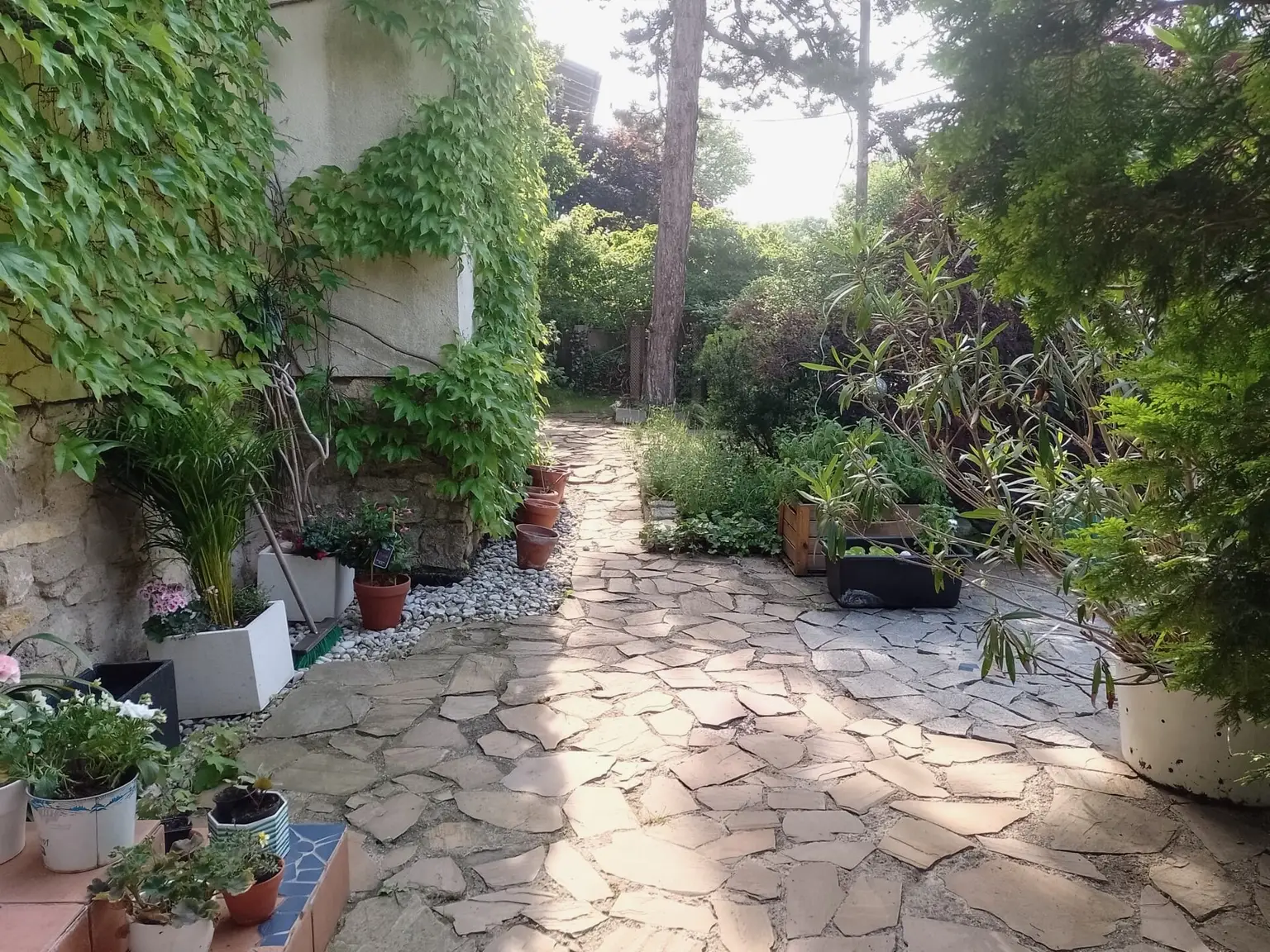 Natur pur , tolles Haus