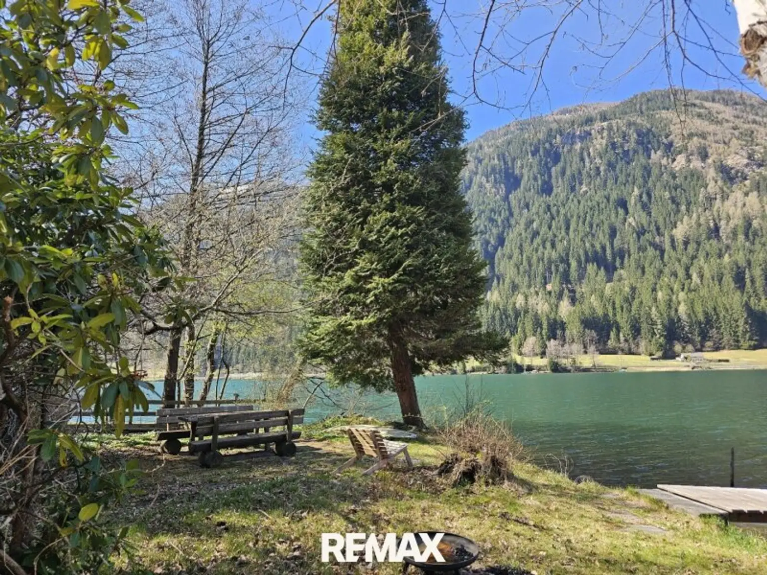 Frühling am Seegrund