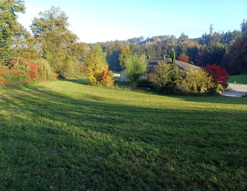 2 Grundstücke in Mehrnbach mit ca. 1000 m²