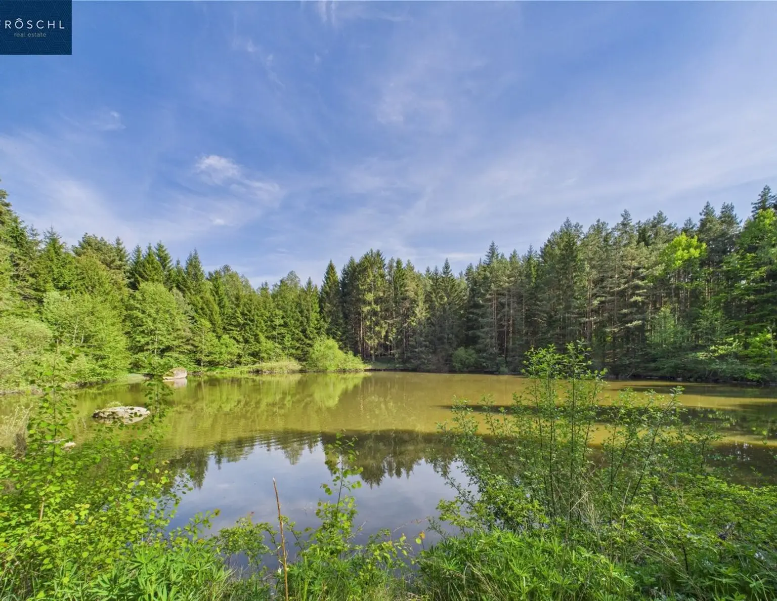 NATURJUWEL WALDVIERTEL - Professionelle Waldteichanlage 4,3 ha - ANGEBOTSVERFAHREN