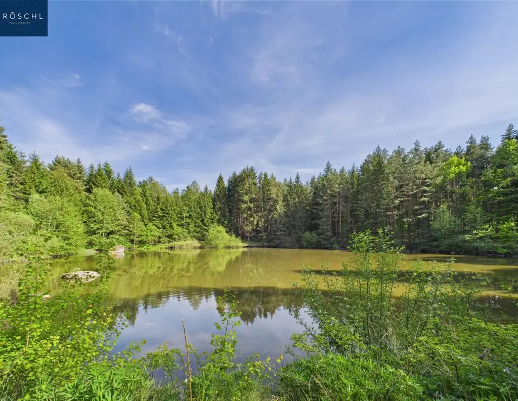 NATURJUWEL WALDVIERTEL - Professionelle Waldteichanlage 4,3 ha - ANGEBOTSVERFAHREN