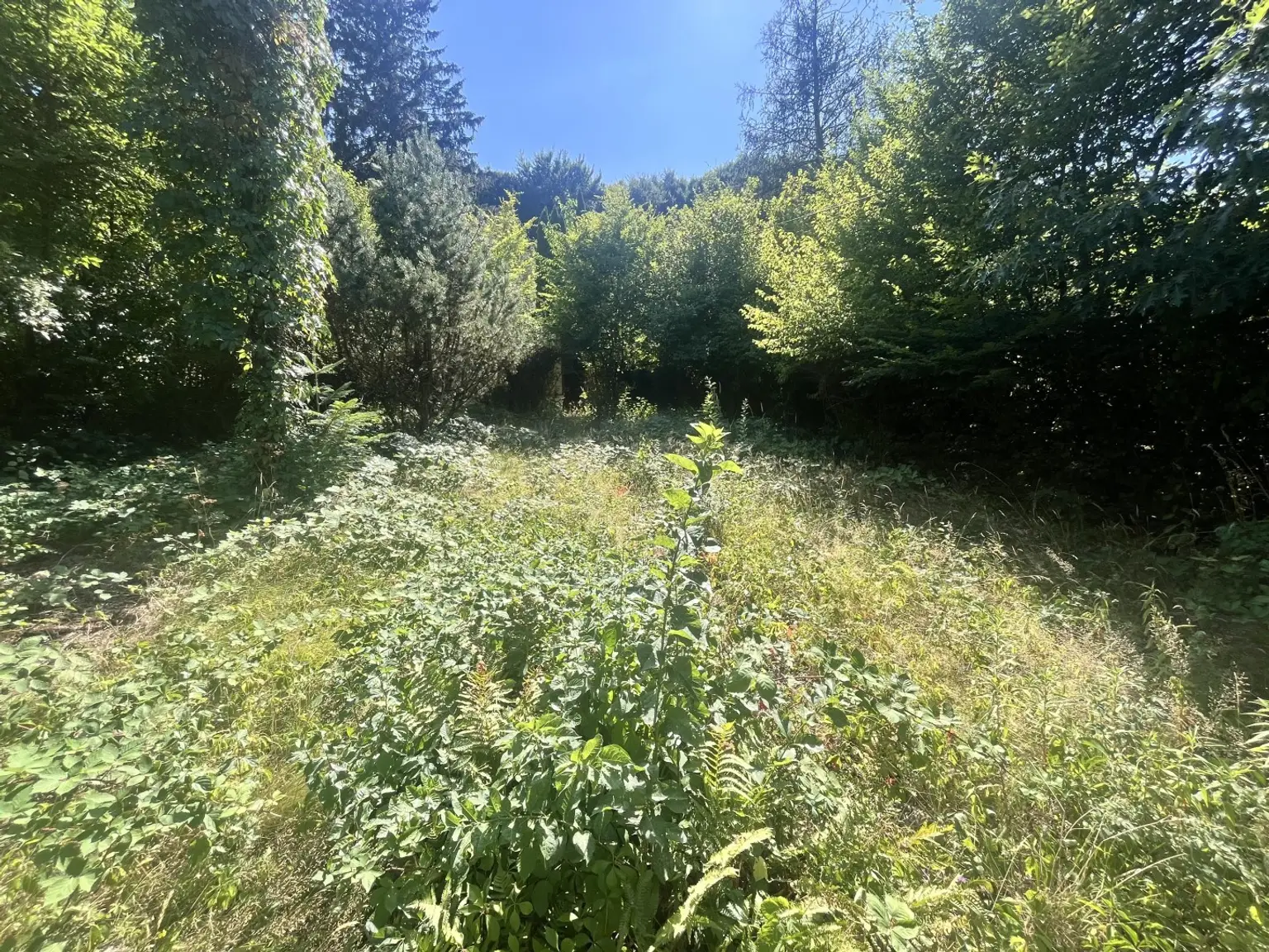 03 Baugrund Mauerbach