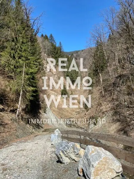 Waldparadies in Taxenbach – 13.141 m² Natur pur