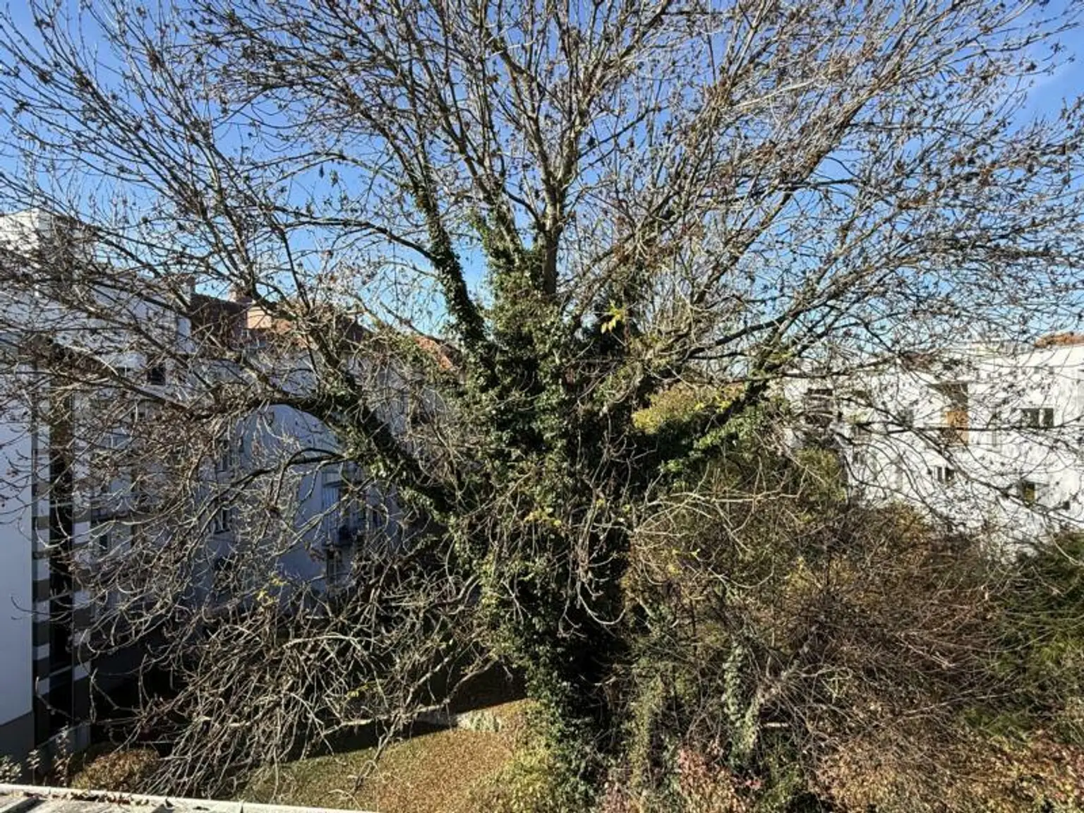 **Schick zw. Botanischem Garten & UNI** Balkon & Dachterrasse**Klimaanlage**TG-Platz**sonnige Ruhelage**