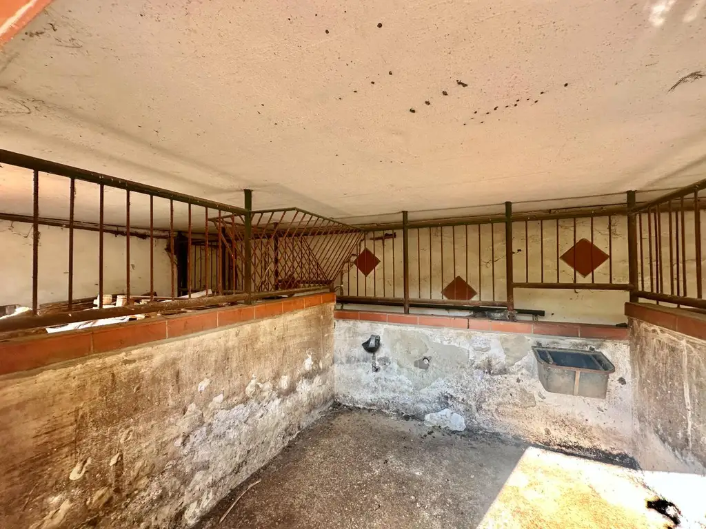 Reiterparadies im Weinviertel – Ihr Traum vom Landleben!