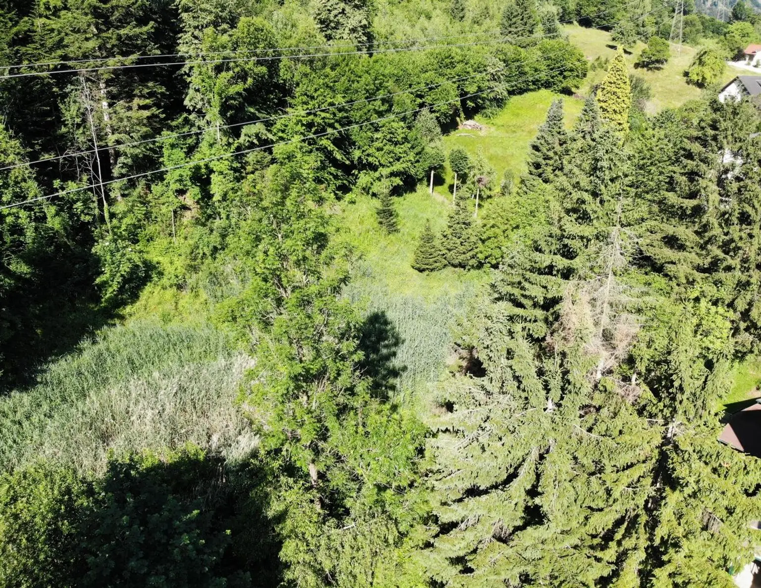 Großzügiges Grundstück - auch als Gartengrund nutzbar - in ruhiger Lage- provisionsfrei für die Käufer!