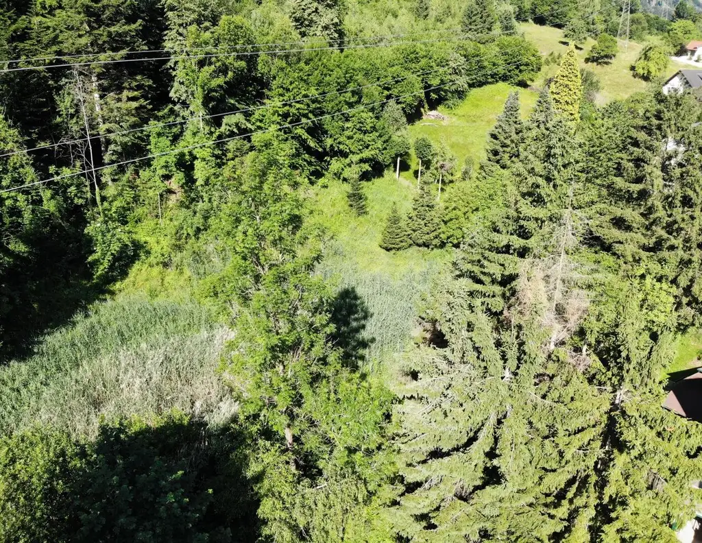 Großzügiges Grundstück - auch als Gartengrund nutzbar - in ruhiger Lage- provisionsfrei für die Käufer!