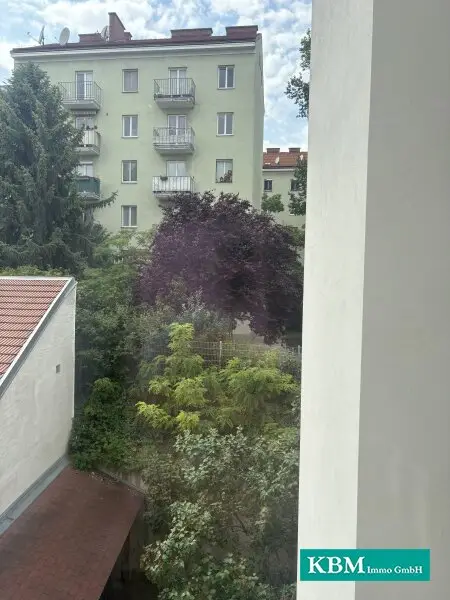 Ausblick aus der Küche und Zimmer 3