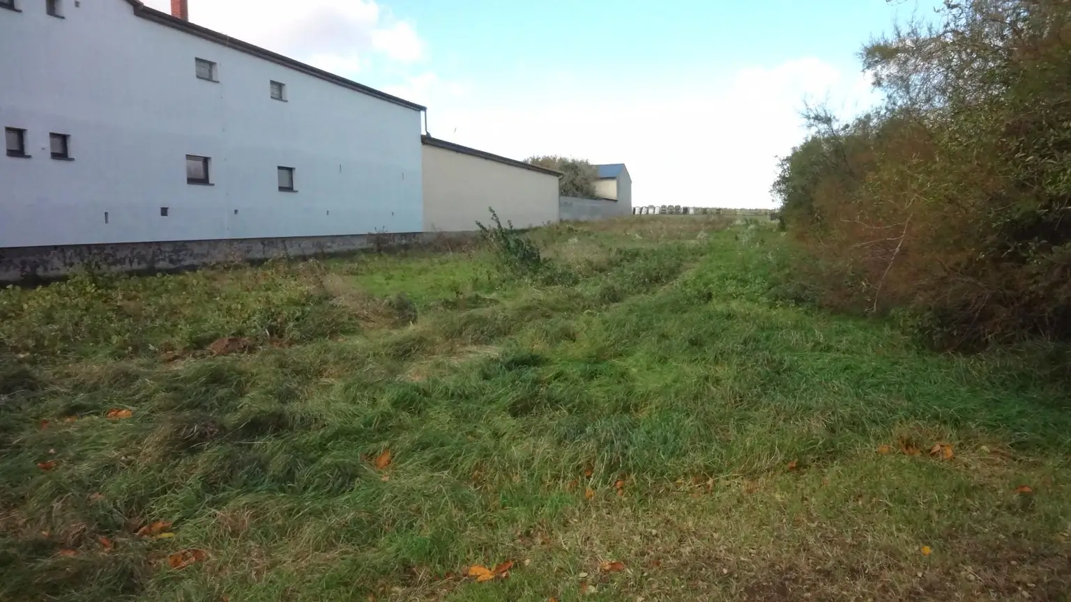 Aufgeschlossenes Grundstück in bester Lage am Ortsrand von Gols!