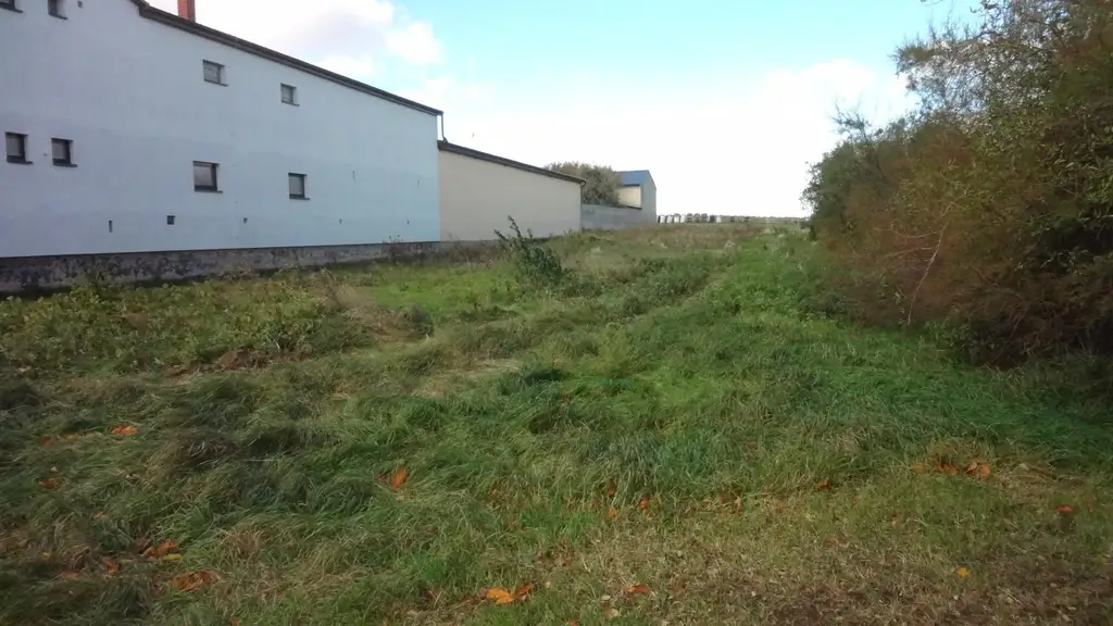 Aufgeschlossenes Grundstück in bester Lage am Ortsrand von Gols!