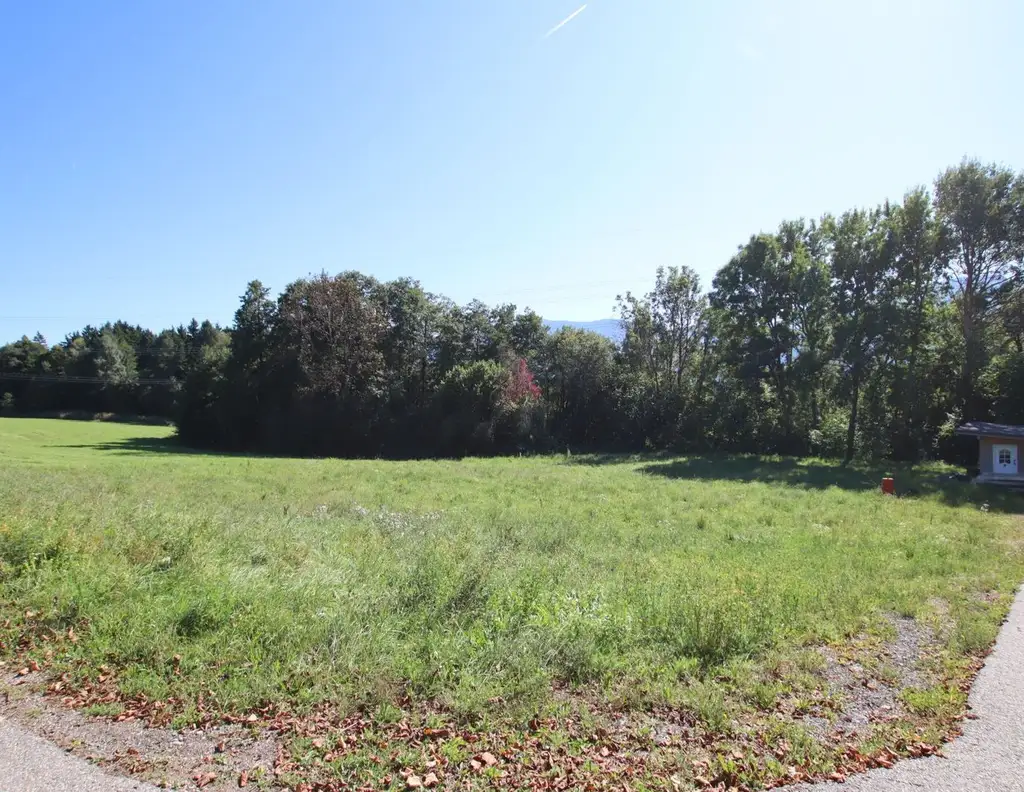 Schöner, großer und flacher 1.850m² Baugrund in Ludmannsdorf - Lukowitz