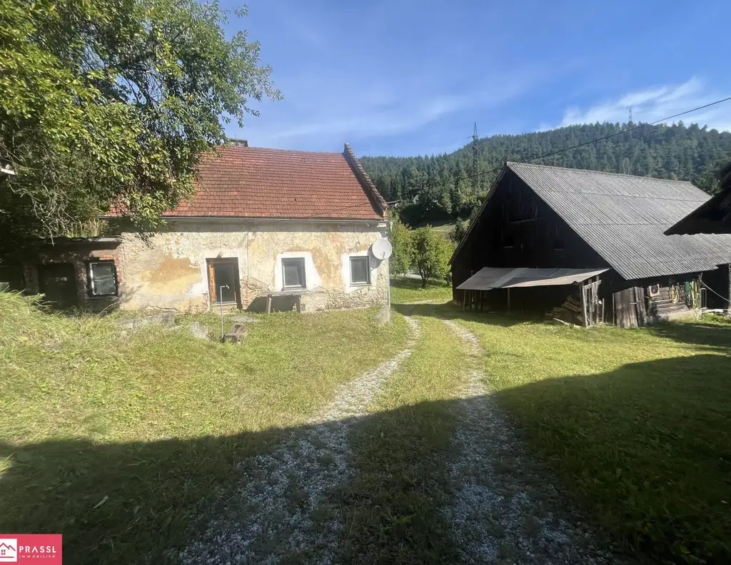 Einmalige Gelegenheit: Traumgrundstück am Südhang mit Panoramablick - 2,4 ha Bau- & Bauerwartungsland in Proleb/Leoben